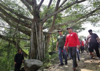 Sumanto Ajak Tanam Pohon Pengikat Air Sungai Kledung