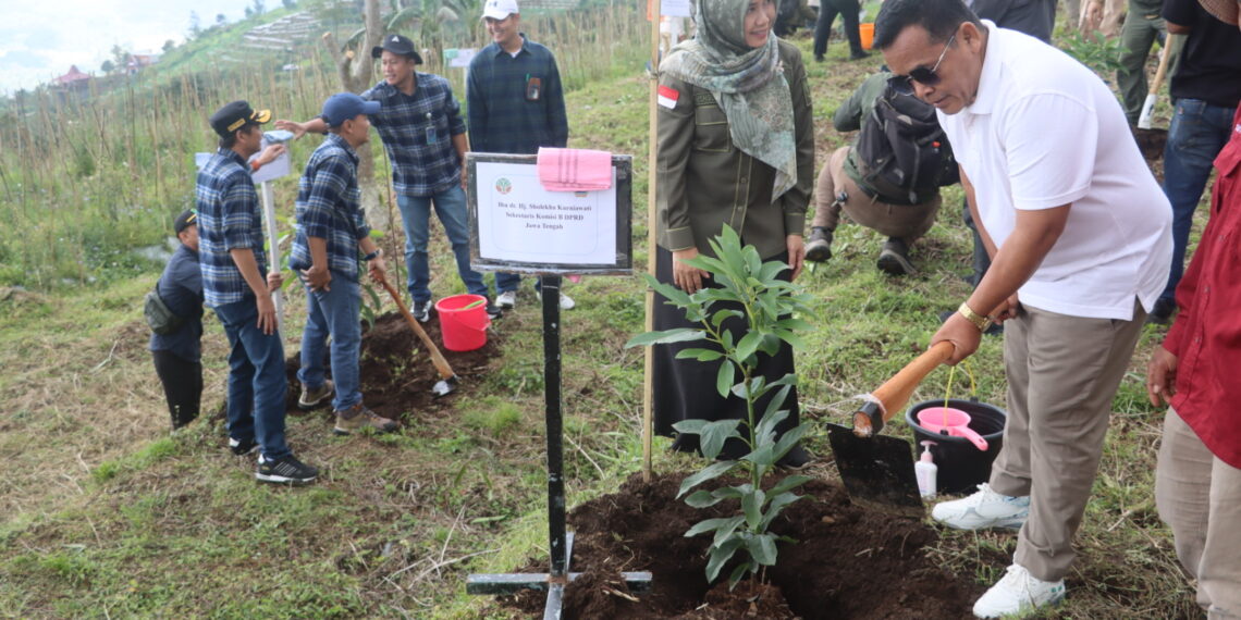 Penanaman Pohon di Hulu Rawapening untuk Selamatkan DAS Tuntang