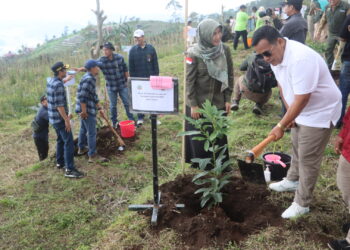 Penanaman Pohon di Hulu Rawapening untuk Selamatkan DAS Tuntang