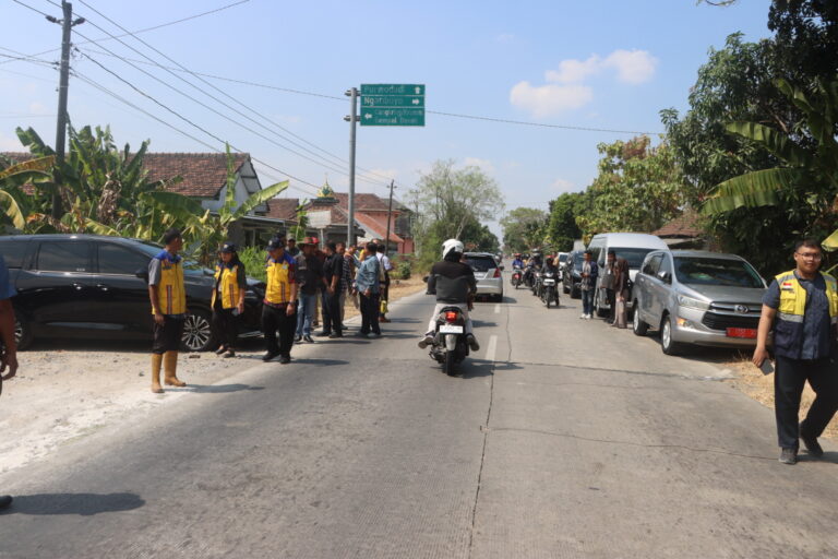 IMG 3895 (1)